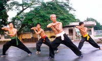 Vietnamese martial arts transcend national boundaries