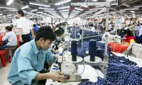 More efforts needed for the Vietnam leather and footwear industry to thrive