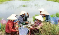 Drought, saltwater intrusion batter southern Vietnamese province