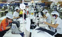 Domestic textile sector urged to increase localization rate