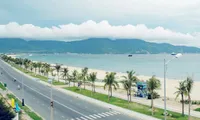 Sea and island exhibition kicks off in Da Nang