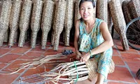 Hau Giang Province promotes water hyacinth export