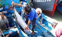 New decree on fisheries development took effects