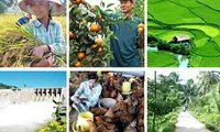 Vietnam and Japan bolster agriculture co-operation