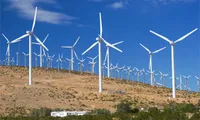 EU firms eye renewable energy sector