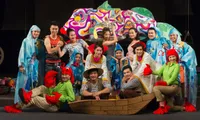 Vietnamese, German artists staged Grimm fairytale