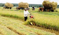 Agriculture sector reviewed after 9 months