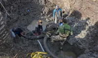 Farmers stumble across mammoth skeleton in their soybean field