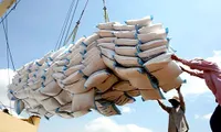 Rice exports to Africa achieve a 50% increase