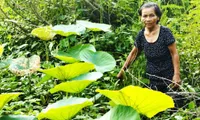 The inseparable ties of villagers along Vietnam-Cambodia border