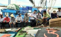 Binh Dinh enhances fishermen's awareness