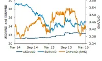 ANZ: USD to settle at VND23,000 at year-end