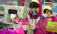 TPP may help Vietnam sew up clothing exports