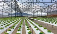 Lam Dong develops organic farming