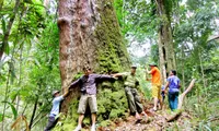 Developing discovery tourism to protect Po Mu heritage forest in Quang Nam