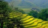 Lao Cai’s new destinations increasingly attractive to tourists