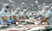 Eight more pangasius factories to be allowed to export to the US