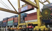 Da Nang Port unloads first cargo of the year