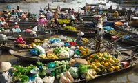 Cai Rang Floating Market bustles with activity