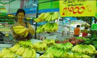 Vietnamese bananas struggle to enter high-end markets