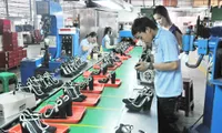 Developing support industries in the leather and footwear sector