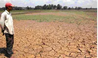 Binh Dinh Province spends $500,000 in drought and salinization relief