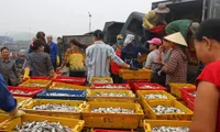 Preferential loans offered for seafood storage