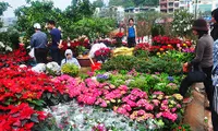 Hi-tech flowers popular ahead of Tet