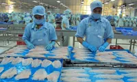 US Court of International Trade ruling will not affect Vietnamese tra fish exports