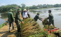 Overcoming agricultural losses caused by floods