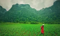 Hollywood crew’s Vietnamese landscape photos wow internet viewers