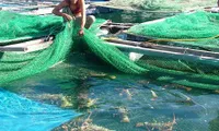 Support measures for lobster farming