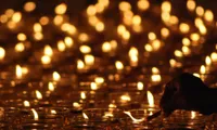 Vesak Day opens in Ninh Binh