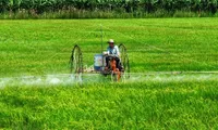 Thanh Hoa province yields success from organic farms