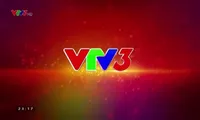 VTV3 – A start-up place