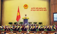 Vietnamese abroad hopeful about new government