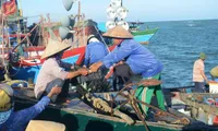 Vietnam concerned about fishermen’s safety at sea