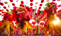 Lunar New Year celebration activities around Vietnam