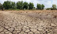 EU provides 90,000 EUR to assist drought-hit communities in Vietnam