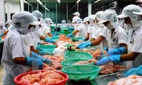 Vietnam to become global seafood processing centre