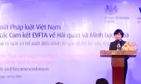 Vietnamese laws reviewed based on EU FTA commitments