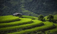 Photographers depict the beauty of Vietnam