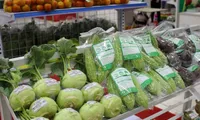 Safe produce market opens in Hanoi