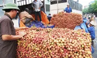 Success stories of fruit exports