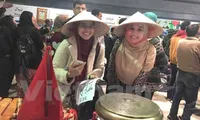 Vietnam leaves impression at cultural festival in Egypt