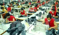 Free trade agreement helps boost Vietnam-EAEU trade