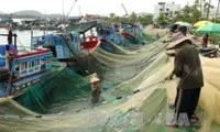 Heavy sanctions on illegal fishing