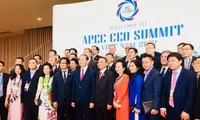 APEC CEO Summit 2017 offers greater opportunities