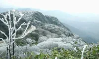 Fansipan mountain experiences icy spell