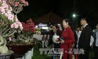 Spring flower festival opens in HCM City to welcome New Year